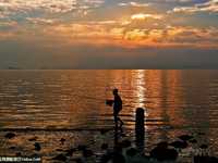 蝉声不绝 用相机找出夏天的踪迹