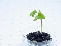 10个摄影技术停滞不前的原因