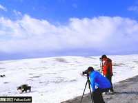 雪地摄影拍摄的必备知识和技巧