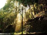 教你如何善用光线准确曝光