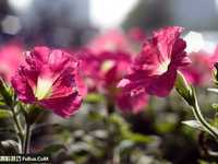 新手必读教你全面驾驭光圈