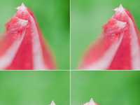 5个让新手提高水平的拍摄练习