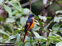 不可不知的打鸟经验和拍摄要诀