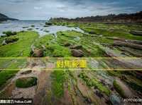 如何选择正确的对焦位置