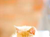 解密景深在拍摄中的重要性