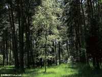 新手必读如何善用自然光来拍摄