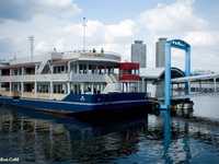 教你认识光质与影调