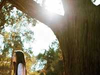 利用环境的遮挡获得理想的光线