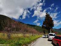 简单5招教你拍出漂亮蓝天