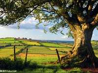 摄影构图进阶各种不同的框架式构图