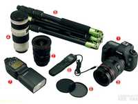 枫叶拍摄器材准备与光线运用