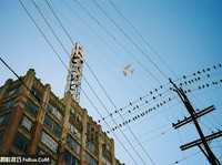 摄影爱好者必读的100条经验建议