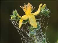 自然风光摄影入门教程