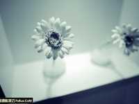 了解摄影中五种光源的颜色