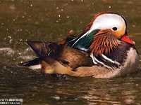 提高你拍摄技巧的13种可行性