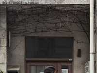 实例讲解巧用延时自拍