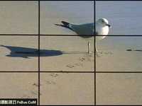 详解线性构图的形式美