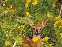 摄影师的能力不只是按下快门