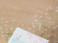 如何利用自然光拍摄商业照片