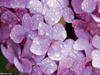 坏天气也能拍出好照片