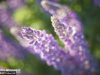 新手不知怎样拍摄时的实用建议