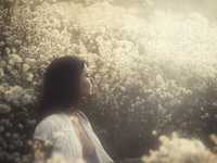 摄影中调节光线的10个法则