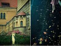 拍出好照片的5重境界