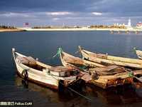 不同天气下巧妙区别用光