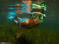 教你如何在水下拍摄精彩照片