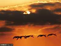 教你如何拍摄旅途中壮丽风景