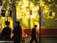 用光拍摄打动人心的好照片