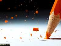 学习全新视角微距摄影