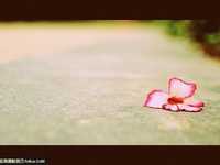 低角度摄影拍出不一样的相片