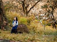 父母拍摄儿童的10个小技巧