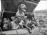 摄影大师Elliott Erwitt的12个街拍心得