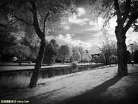 黑白摄影让作品更有艺术感