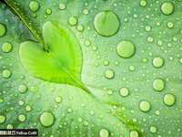 生活小情调摄影攻略