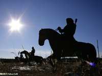 简单构图运用对比的力量