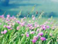 风光摄影打动人的十点经验