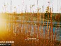 如何快速拍出小资生活照