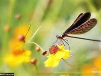 摄影进阶教你巧设光圈快门