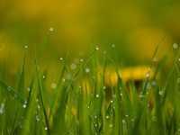 怎样拍出有意境的相片？