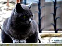 鲜为人知的7个测光知识