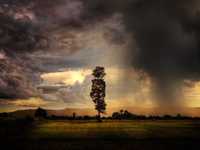 阴雨天巧妙用好柔和光线