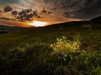 什么情况下才要用手动对焦