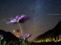 星空摄影之另一种武器“宫坂大法”