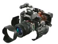 摄影的对与错？