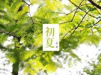 给照片配上文字有哪些好的排版