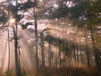 资深风景摄影师的10个建议