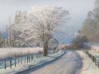 不同天气下的拍摄攻略